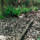 Image for article titled The Mysterious Pile Of 1950s Transmissions Buried At The Site Of An Old GM Plant